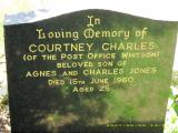 image of grave number 108296